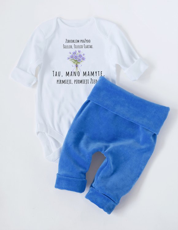 Drabužių komplektas berniukui "Žibuoklės"